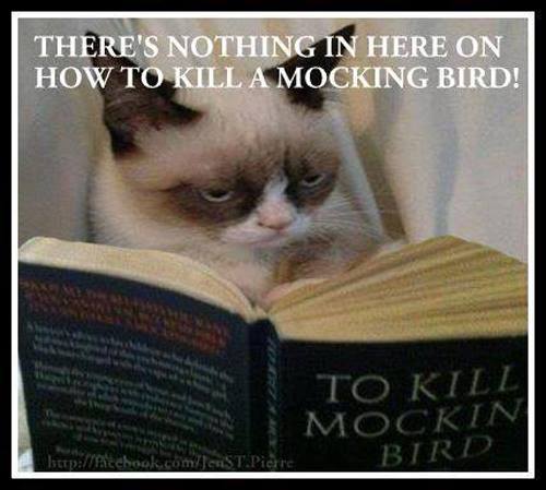 1969413_10152343188831336_238691521588345219_n