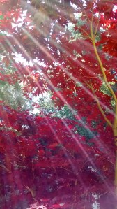 Be the Peace (c) Jamie Dedes