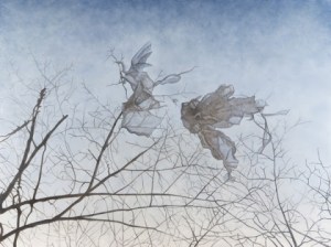 (c) Frank Webster http://fwebster.com