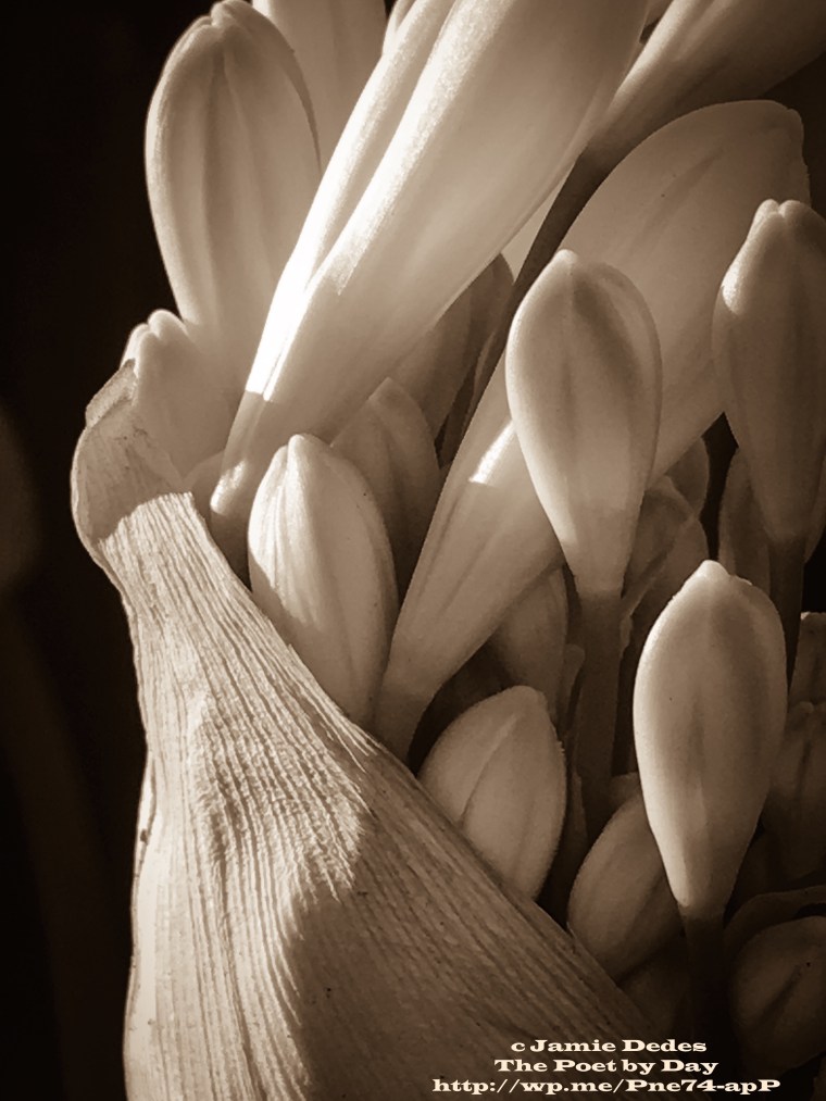 Today: A quiet reading day. 