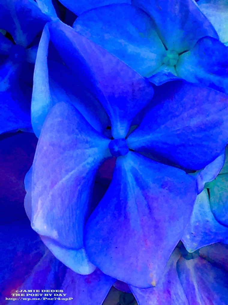 fullsizerender-jpg-1