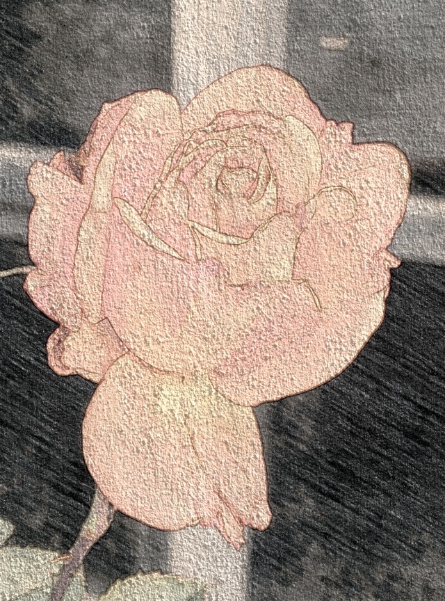 Do you have the patience to wait until your mud settles and the water is clear?” Lao Tzu, Tao Te Ching